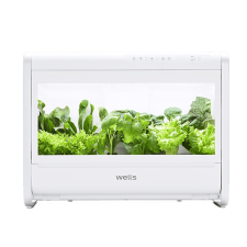 웰스팜 와이드 3년 (기능성채소)