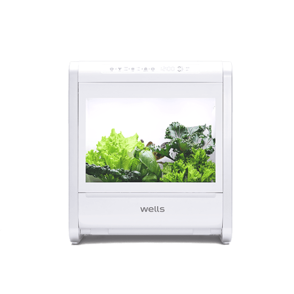 웰스팜 슬림형 기능성 채소패키지