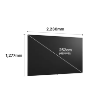 LG QNED evo AI 252cm (100인치) TV